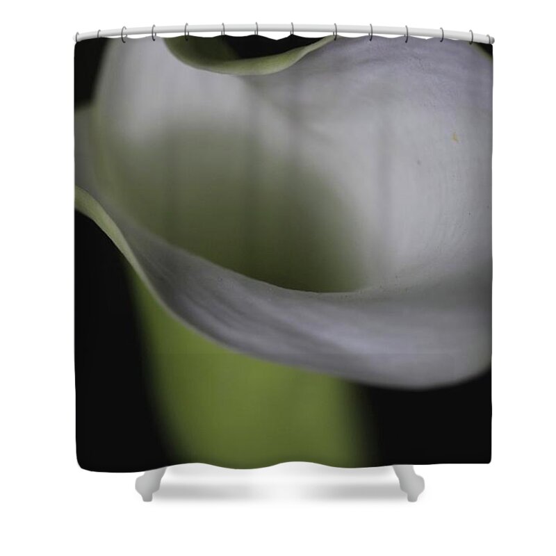 Botanical Shower Curtain featuring the photograph Lily Green Grey by Julie Powell