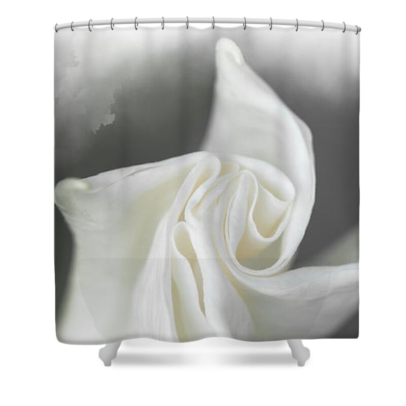 Easter Shower Curtain featuring the mixed media Lily by Moira Law