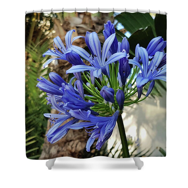 Lily Of The Nile Shower Curtain featuring the photograph Lily of the Nile by Pics By Tony