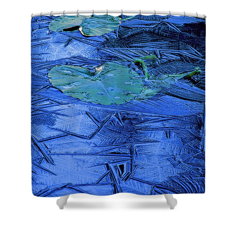 Ice Shower Curtain featuring the photograph Lily pads in ice by Michael Wheatley