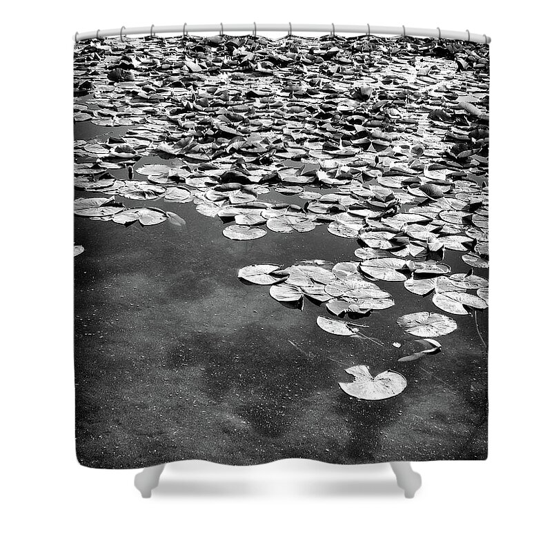 Ann Arbor Shower Curtain featuring the photograph Lily Pads by Phil Perkins