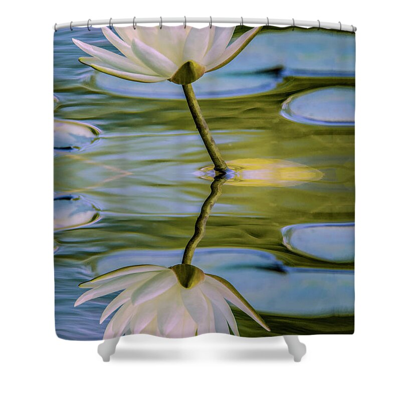 Flower Shower Curtain featuring the photograph Lily Reflection by Cathy Kovarik