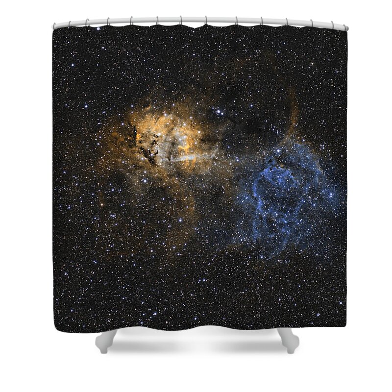 Nebula Shower Curtain featuring the photograph Lion Nebula by Brian Weber