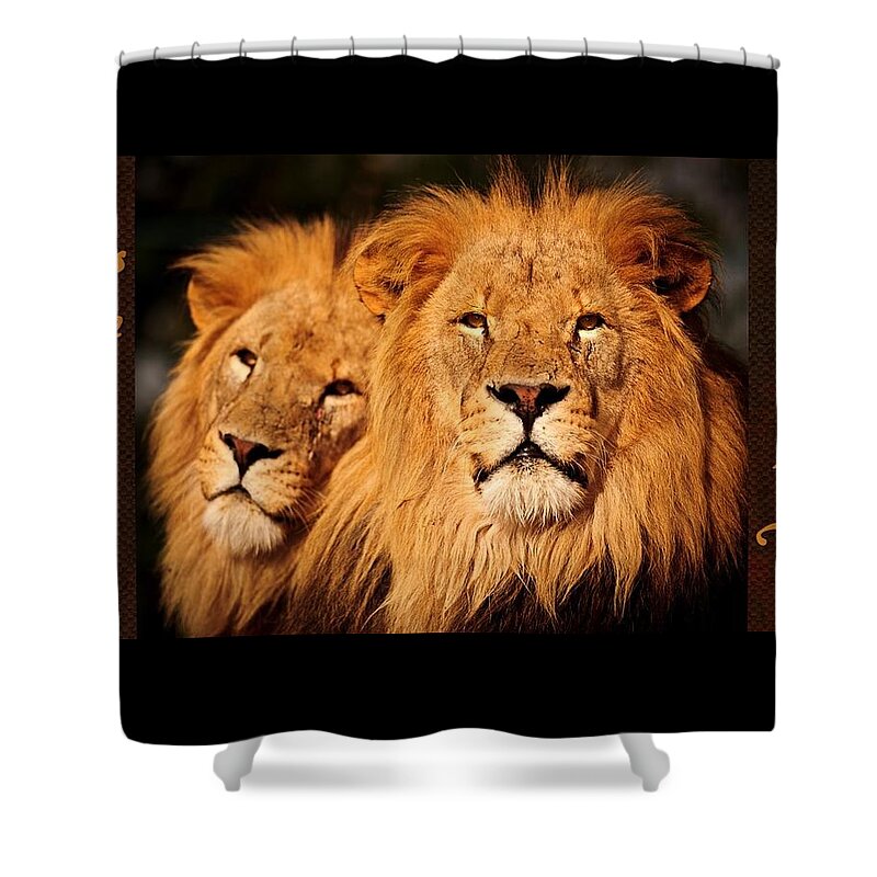 Lions Shower Curtain featuring the mixed media Lions Rule and I Do Too by Nancy Ayanna Wyatt
