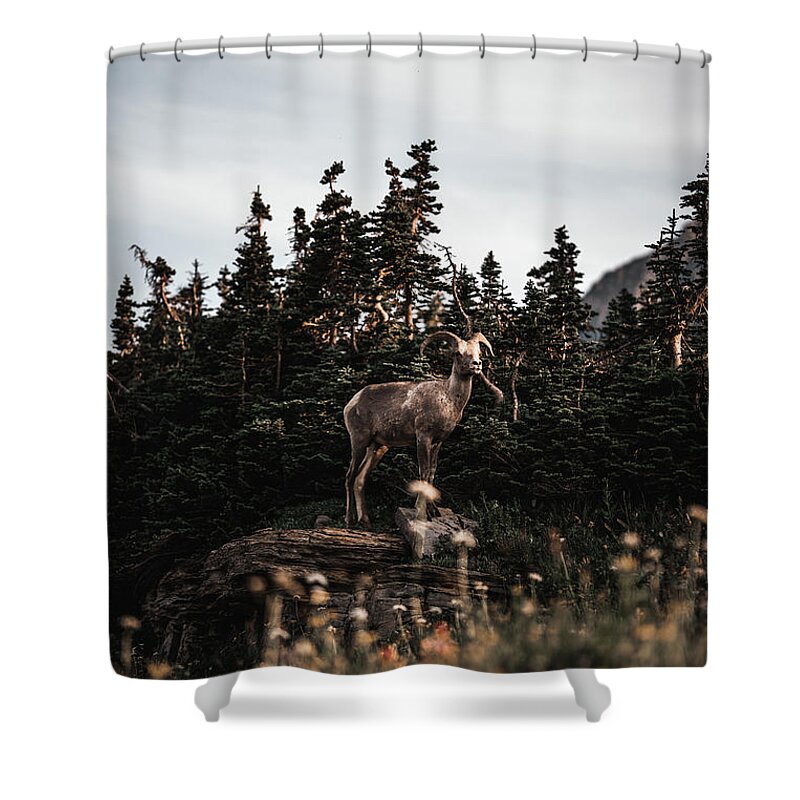  Shower Curtain featuring the photograph Little Bighorn by William Boggs