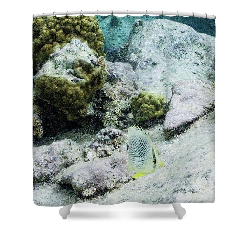 Animals Shower Curtain featuring the photograph Little Bit by Lynne Browne