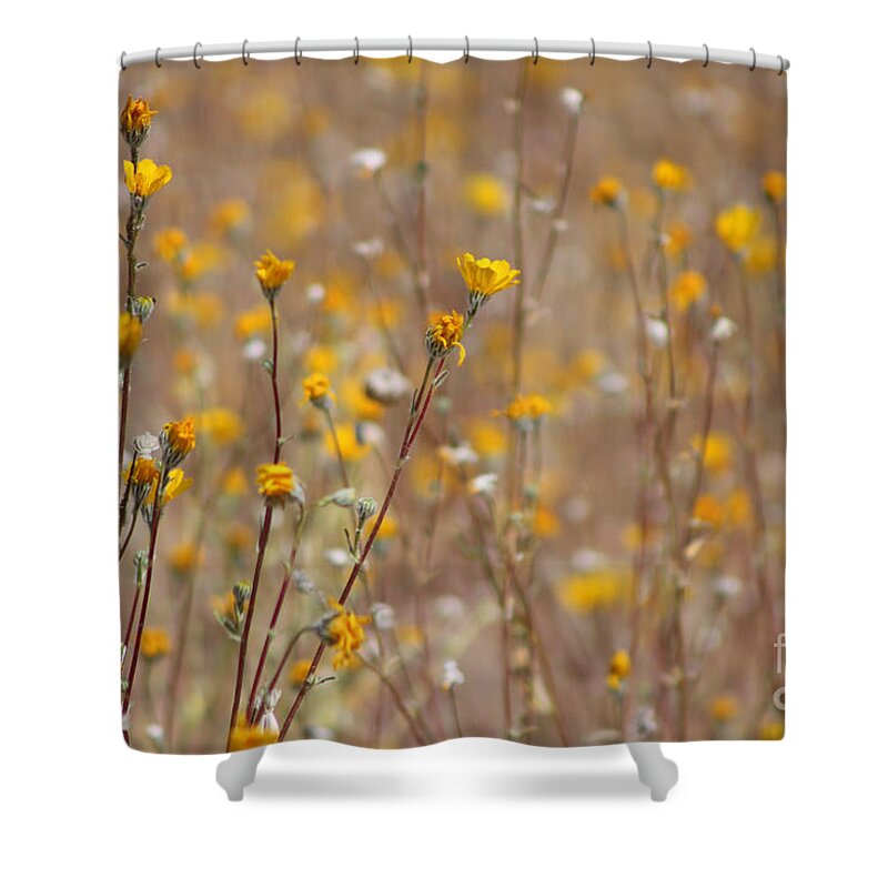 Sunshine Shower Curtain featuring the photograph Little Drops of Sunshine Coachella Valley Wildlife Preserve by Colleen Cornelius