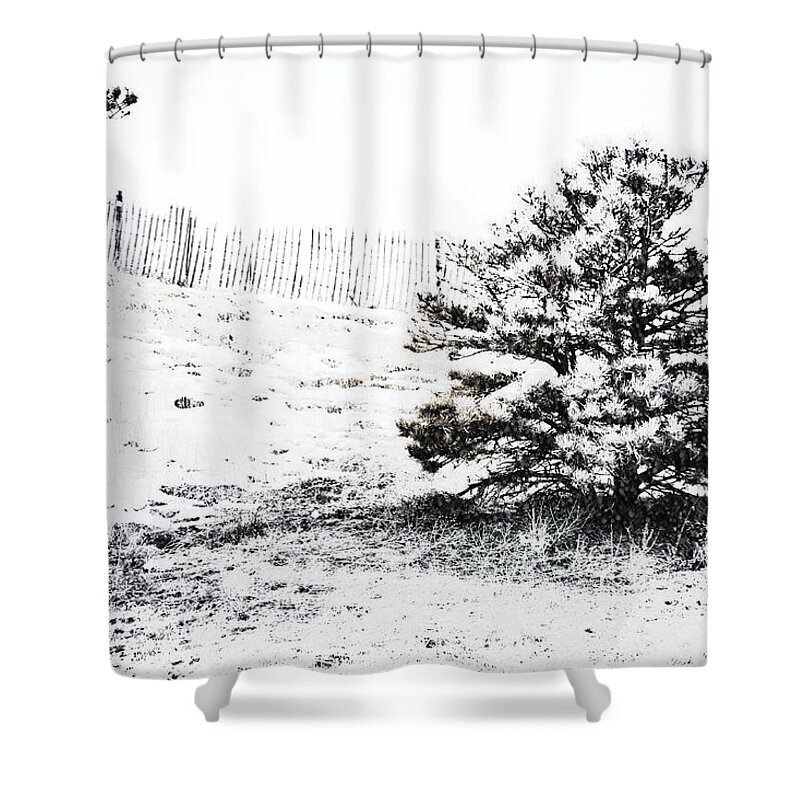 Tree Shower Curtain featuring the digital art Little Pine on the Snow Hill by Gaby Ethington