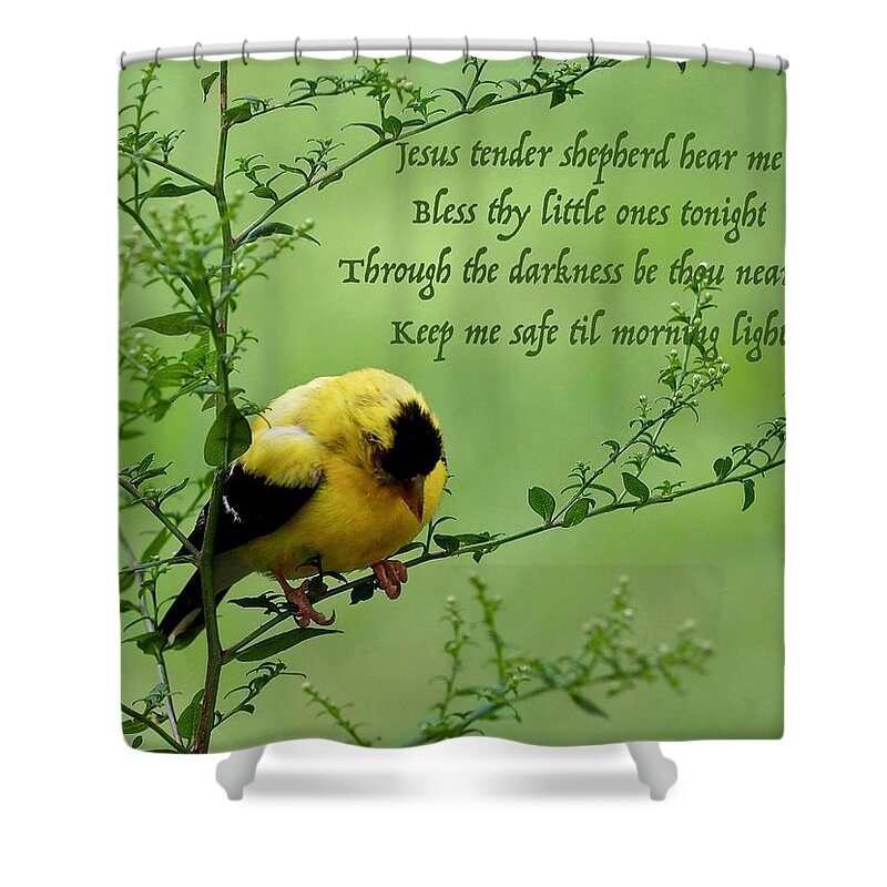 Goldfinch Shower Curtain featuring the photograph Little Prayer by Alida M Haslett
