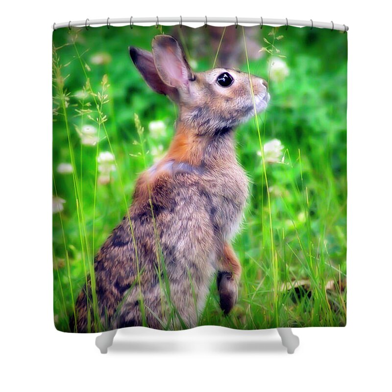2d Shower Curtain featuring the photograph Live In Clover by Brian Wallace