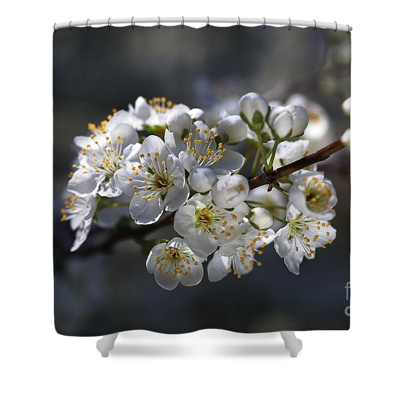 Bubbleblue Shower Curtain featuring the photograph Living In Sring by Joy Watson
