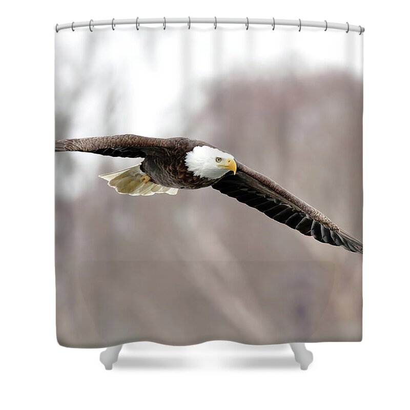 Bird Shower Curtain featuring the photograph Locked In by Lens Art Photography By Larry Trager