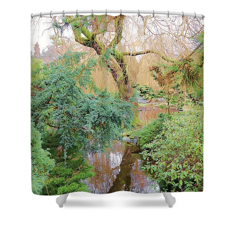 Tree Shower Curtain featuring the photograph Lofty by Kimberly Furey