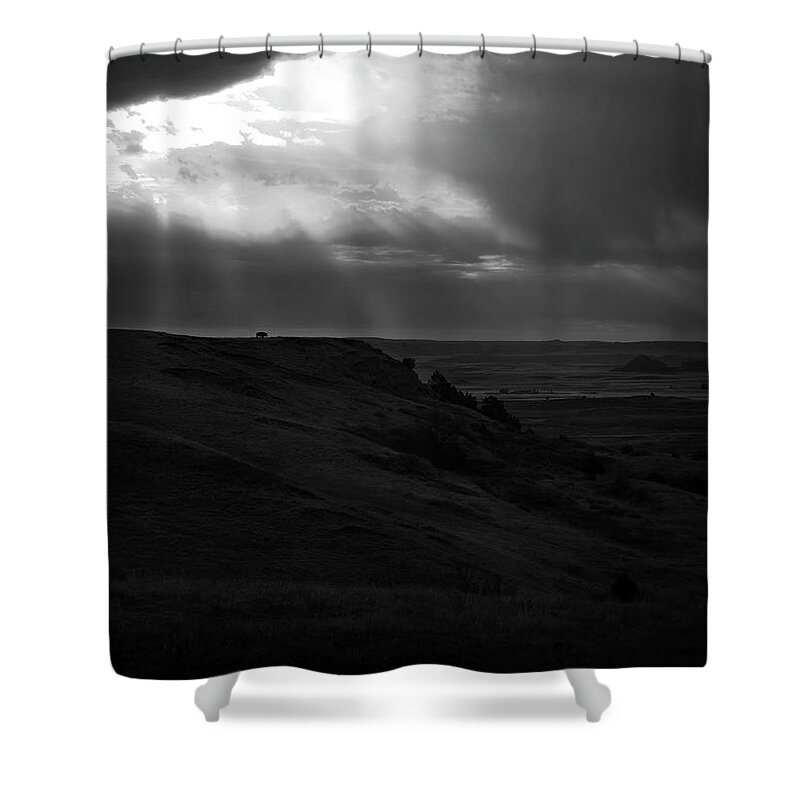 Lone Bison On Dramatic Landscape Shower Curtain featuring the photograph Lone Bison On Dramatic Landscape by Dan Sproul