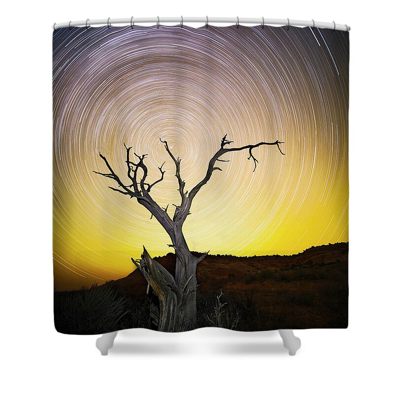 Amaizing Shower Curtain featuring the photograph Lone Tree by Edgars Erglis