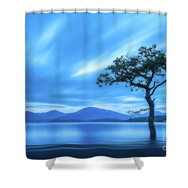 Milarrochy Bay Shower Curtain featuring the photograph Lone tree Milarrochy Bay by Janet Burdon