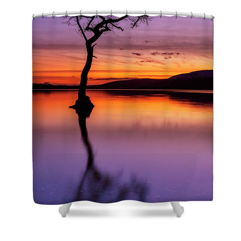 Loch Lomond Shower Curtain featuring the photograph Lone tree reflections at Milarrochy Bay, Loch Lomond, Scotland by Neale And Judith Clark