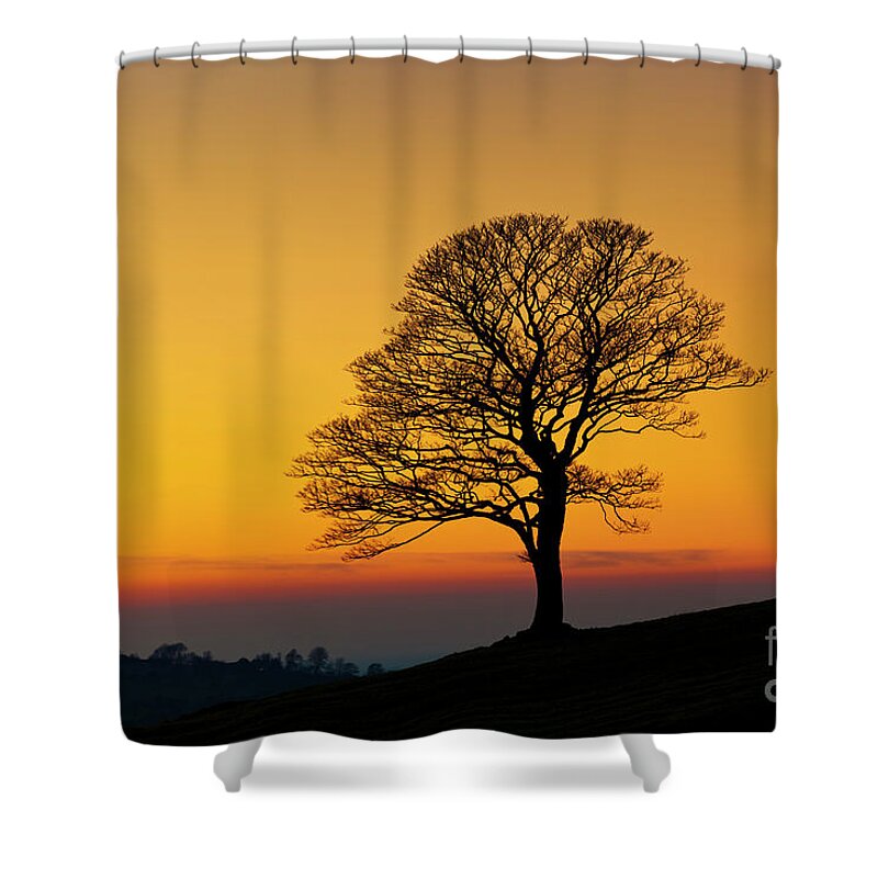 One Shower Curtain featuring the photograph Lone winter tree at Sunset by Neale And Judith Clark
