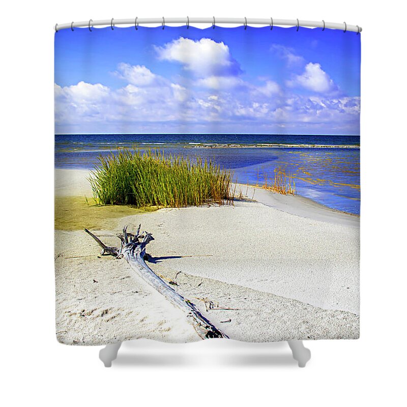 Color Shower Curtain featuring the photograph Lonely Beach by Alan Hausenflock