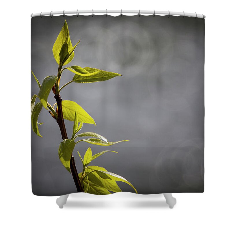 Dv8.ca Shower Curtain featuring the photograph Lonely by Jim Whitley