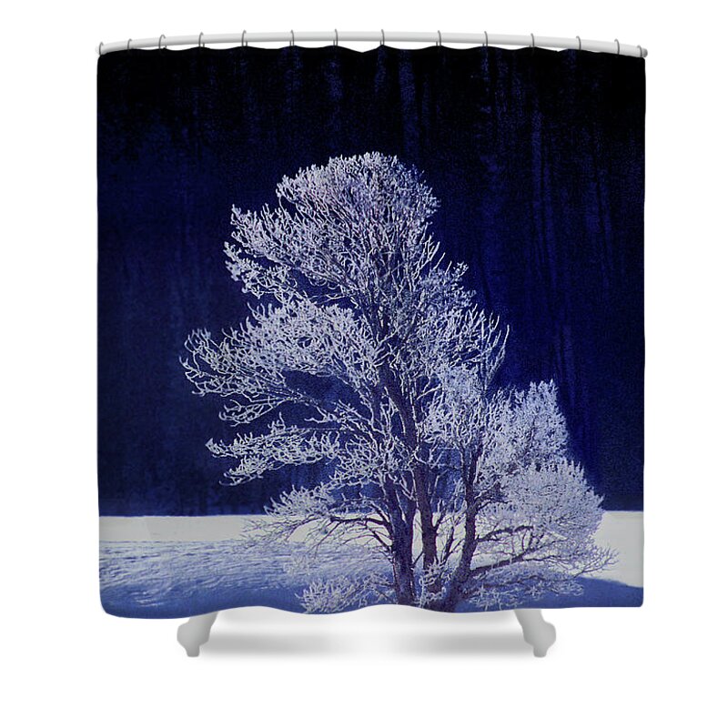Dave Welling Shower Curtain featuring the photograph Lonely Rime Ice Covered Tree Yellowstone National Park by Dave Welling