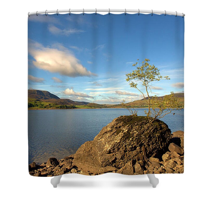 Landscape Shower Curtain featuring the digital art Lonely tree on a rock by Remigiusz MARCZAK