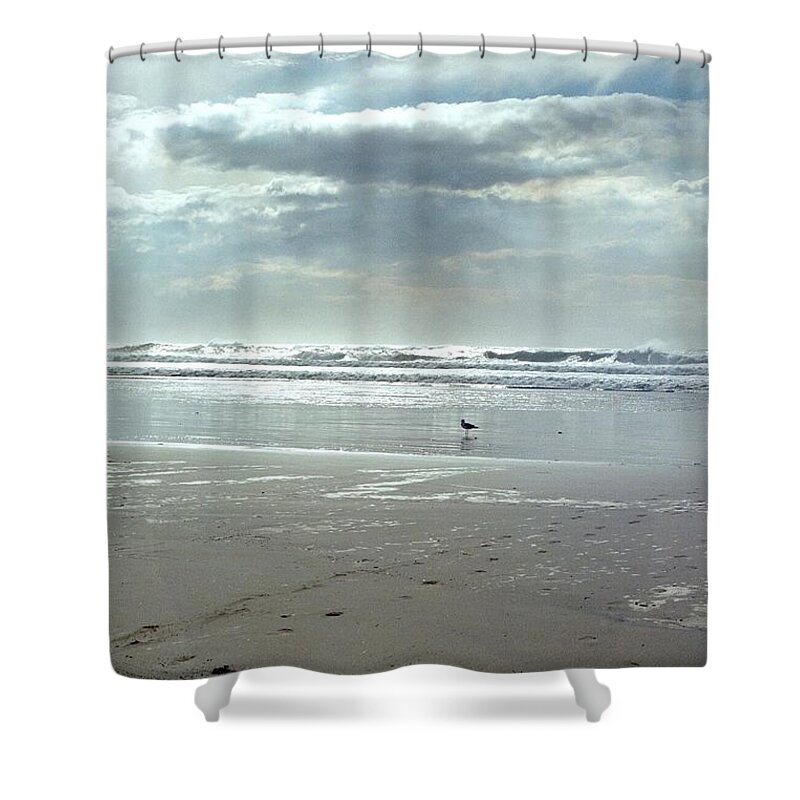 Ocean Shower Curtain featuring the photograph Loner by Deahn Benware