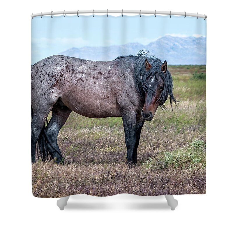 Horse Shower Curtain featuring the photograph Lonesome Joe by Jeanette Mahoney