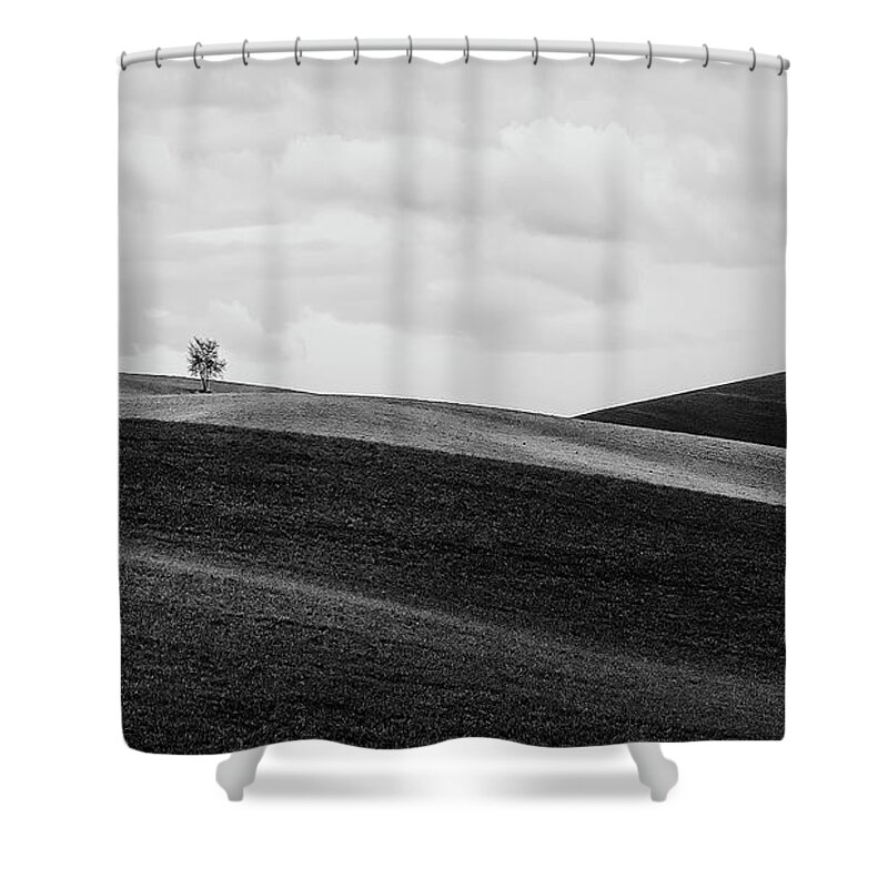 Tree Shower Curtain featuring the photograph Lonesome by Ryan Manuel