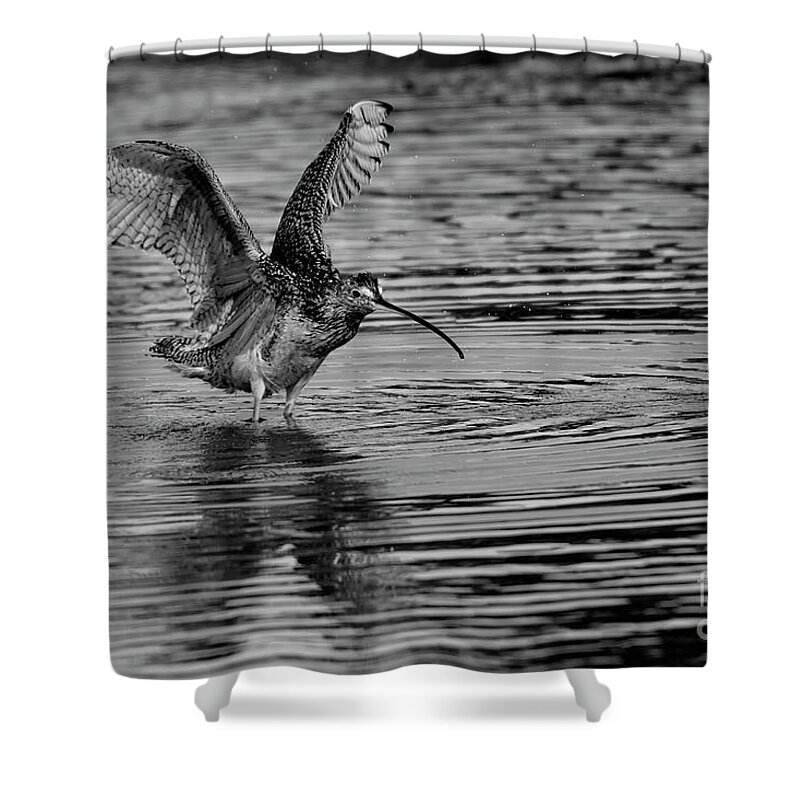 Long Billed Curlew Shower Curtain featuring the photograph Ripples by John F Tsumas