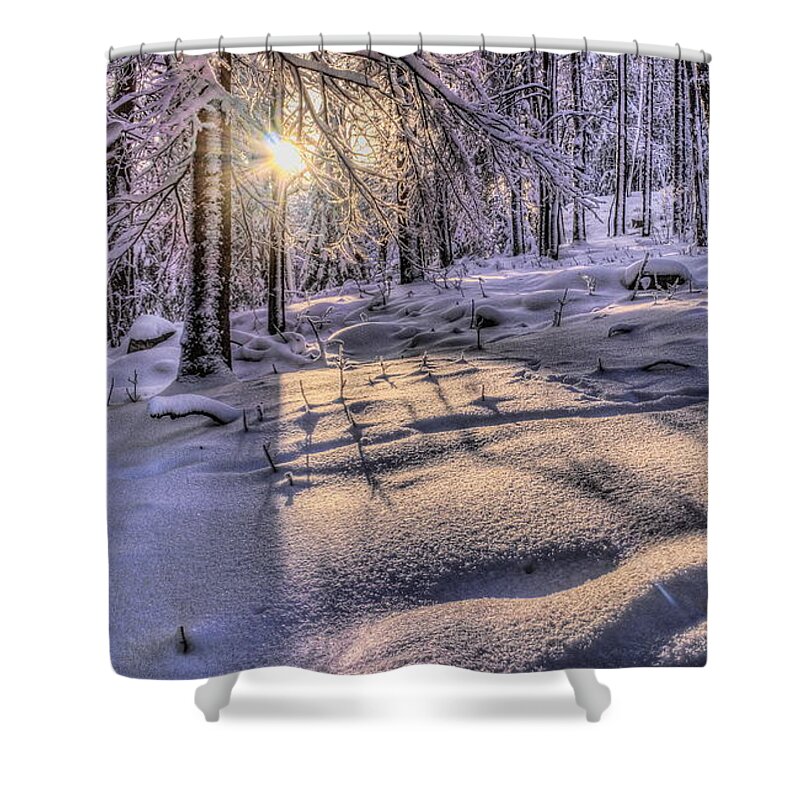 Winter Shower Curtain featuring the photograph Long Shadows In The Snow by Dale Kauzlaric
