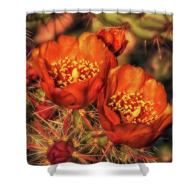 Arizona Shower Curtain featuring the photograph Look But Don't Touch by Rick Furmanek