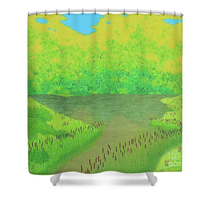 Streams Shower Curtain featuring the painting Look On The Bright Side by Doug Miller