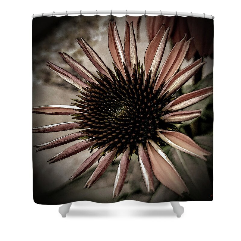  Shower Curtain featuring the photograph Looking around-299 by Emilio Arostegui