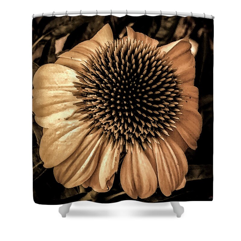  Shower Curtain featuring the photograph Looking around-301 by Emilio Arostegui