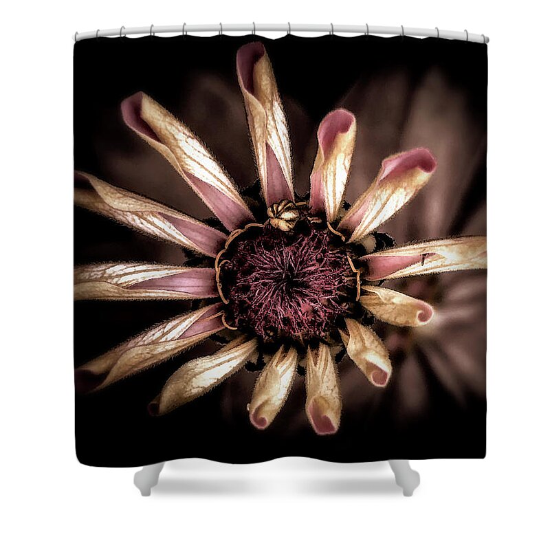  Shower Curtain featuring the photograph Looking around-328 by Emilio Arostegui