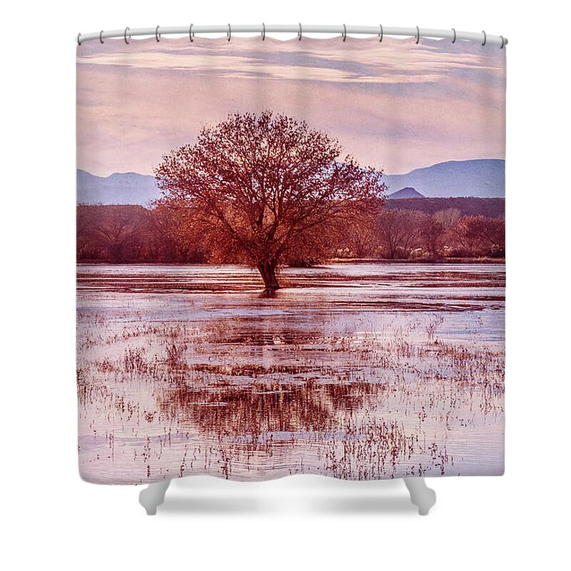 Pink Shower Curtain featuring the photograph Looking at the Bosque through Rose Colored Eyes by Mary Lee Dereske