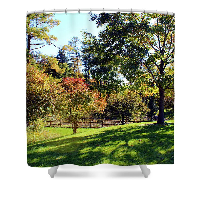 Fall Shower Curtain featuring the photograph Looking Down at the Pond by Christopher Reed
