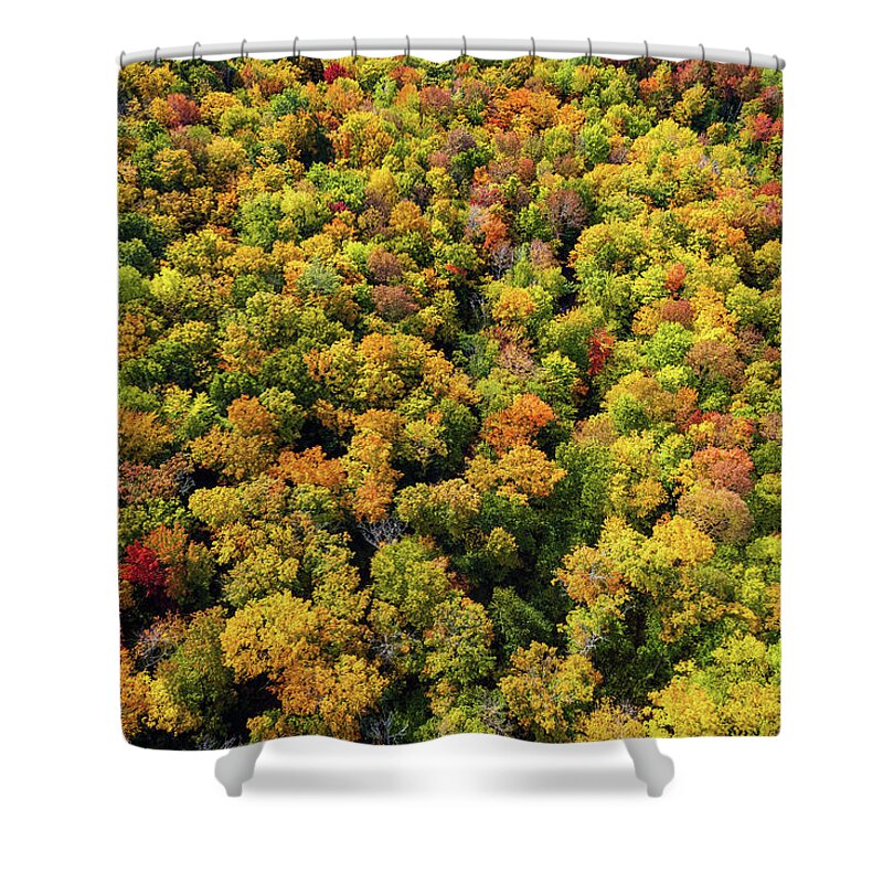 Foliage Shower Curtain featuring the photograph Looking Down on Vermont Fall Foliage 2022 by John Rowe
