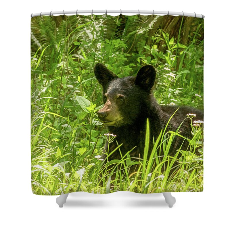  Shower Curtain featuring the photograph Looking For Mom, A Cades Cove Cubbie by Marcy Wielfaert