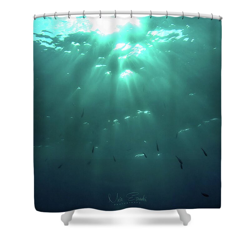 Salvador Dali Shower Curtain featuring the photograph Looking Up by Meir Ezrachi