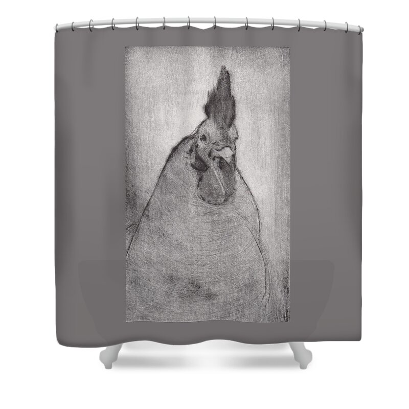 Rooster Shower Curtain featuring the drawing Lord Ribblesday - etching by David Ladmore