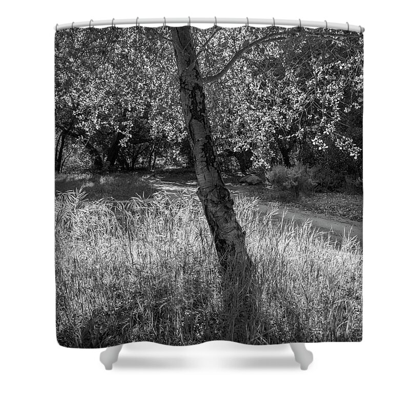Tree Grass Leaves Monochrome Black And White Shower Curtain featuring the photograph Lost and Found SS BW by Perry Hambright