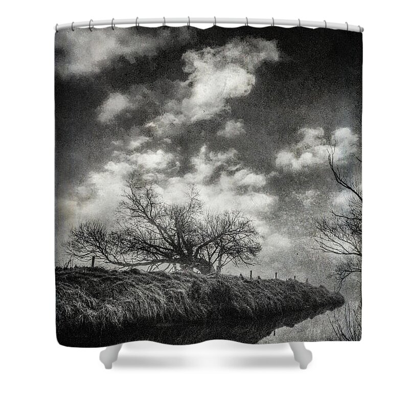 Tree Shower Curtain featuring the photograph Lost Time by Roseanne Jones
