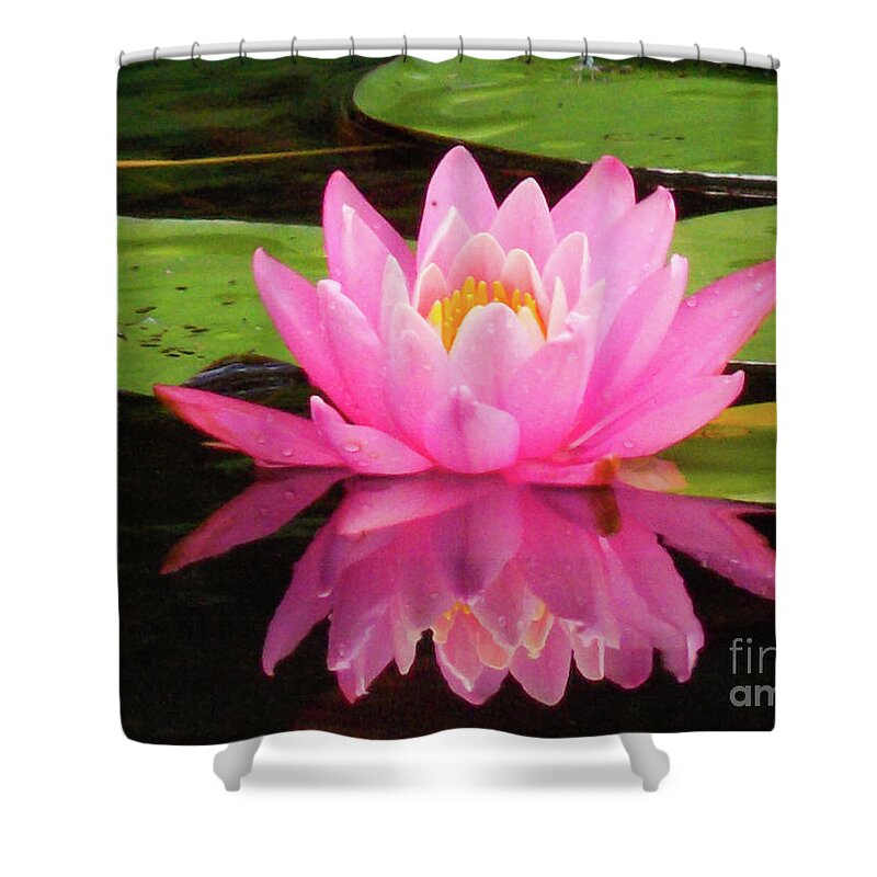 Lotus Shower Curtain featuring the photograph Lotus 1 by David Ragland