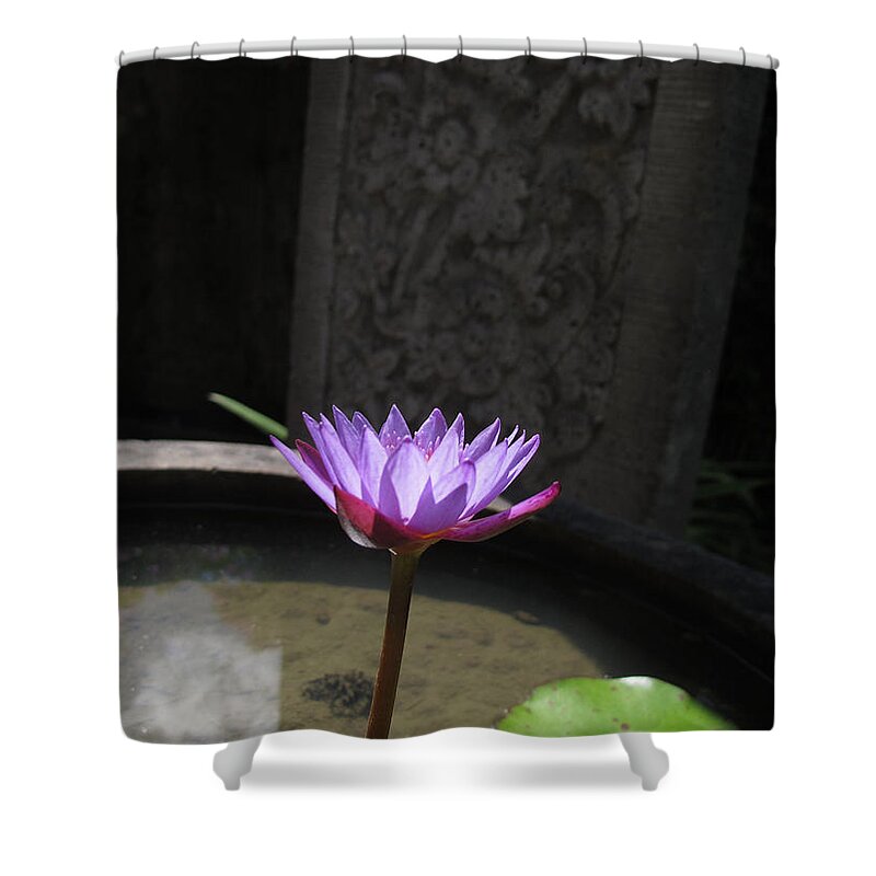 Bali Shower Curtain featuring the photograph Lotus Flower Bali by Mark Egerton