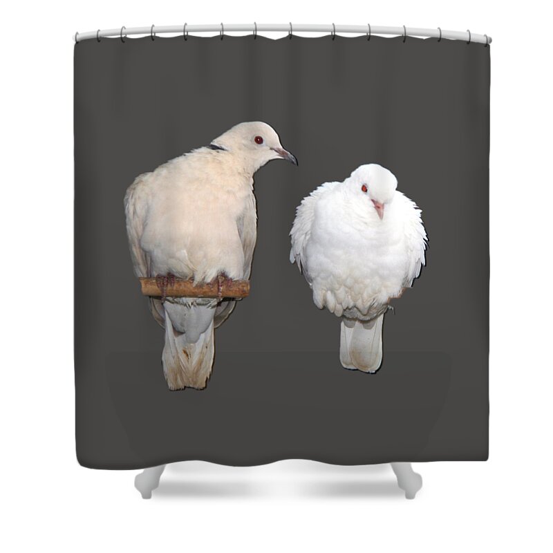 Dove Shower Curtain featuring the photograph Love at frist sight by Andrea Lazar