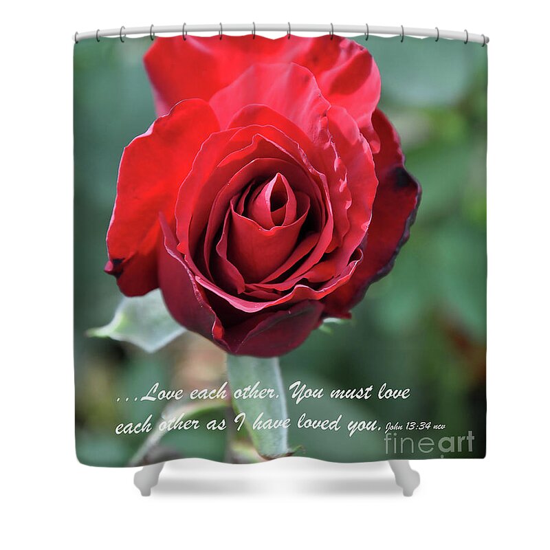 Red-rose Shower Curtain featuring the digital art Love Each Other Red Rose Bloom by Kirt Tisdale