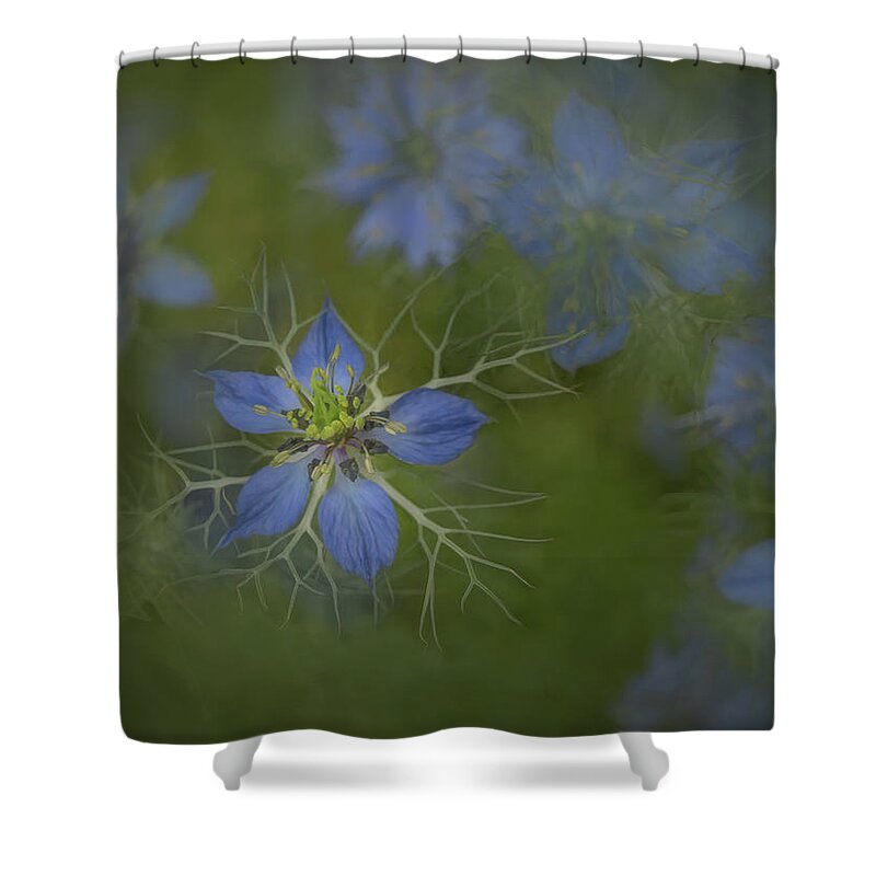Love In A Mist Shower Curtain featuring the photograph Love in a Mist in Nature by Sylvia Goldkranz
