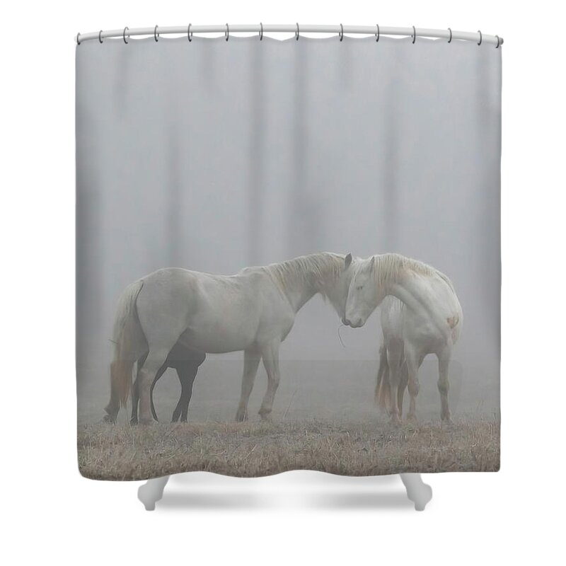 Wild Horses Shower Curtain featuring the photograph Love is all you need by Holly Ross